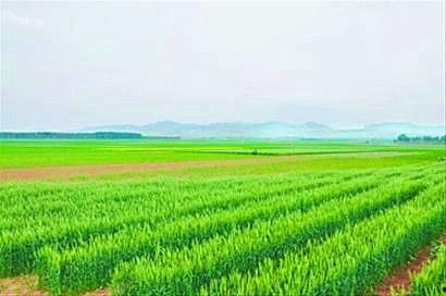 农业养殖致富项目视频,视频揭秘高效养殖秘诀