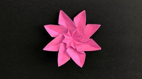 纸花怎么折视频,轻松学会制作精美纸花