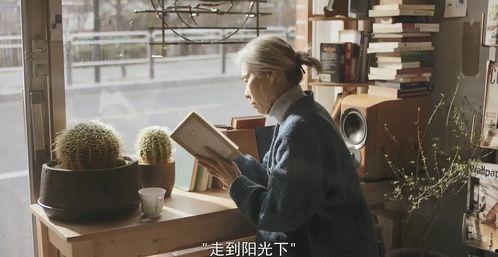 老妇性视频播放,一场关于年龄与性别的社会探讨