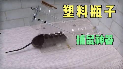 捕鼠神器视频,高效便捷的家居防鼠新选择