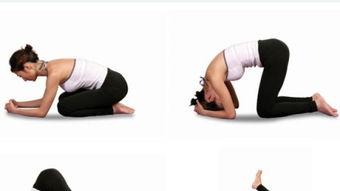 瑜伽处理教程视频,轻松入门，健康生活新体验