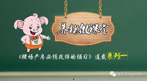 猪的人工取精操作视频,猪人工取精操作步骤详解