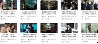 xx视频网,打造多元化娱乐平台，引领网络视听新潮流